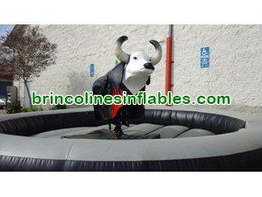 Mechanical Bull For Rent