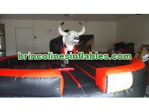 Mechanical Bull Ride Rental