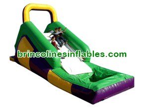 WS1404 13 Foot Green Inflatable Water Slide Jumper