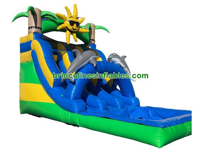 WS1412 Dolphins Sunshine Double Inflatable Water Slide jumper