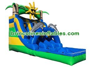 Dolphins Sunshine Inflatable Double Water Slide jumper