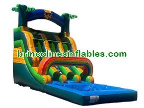 Rainbow Tropical Palm Trees Inflatable Double Water Slide